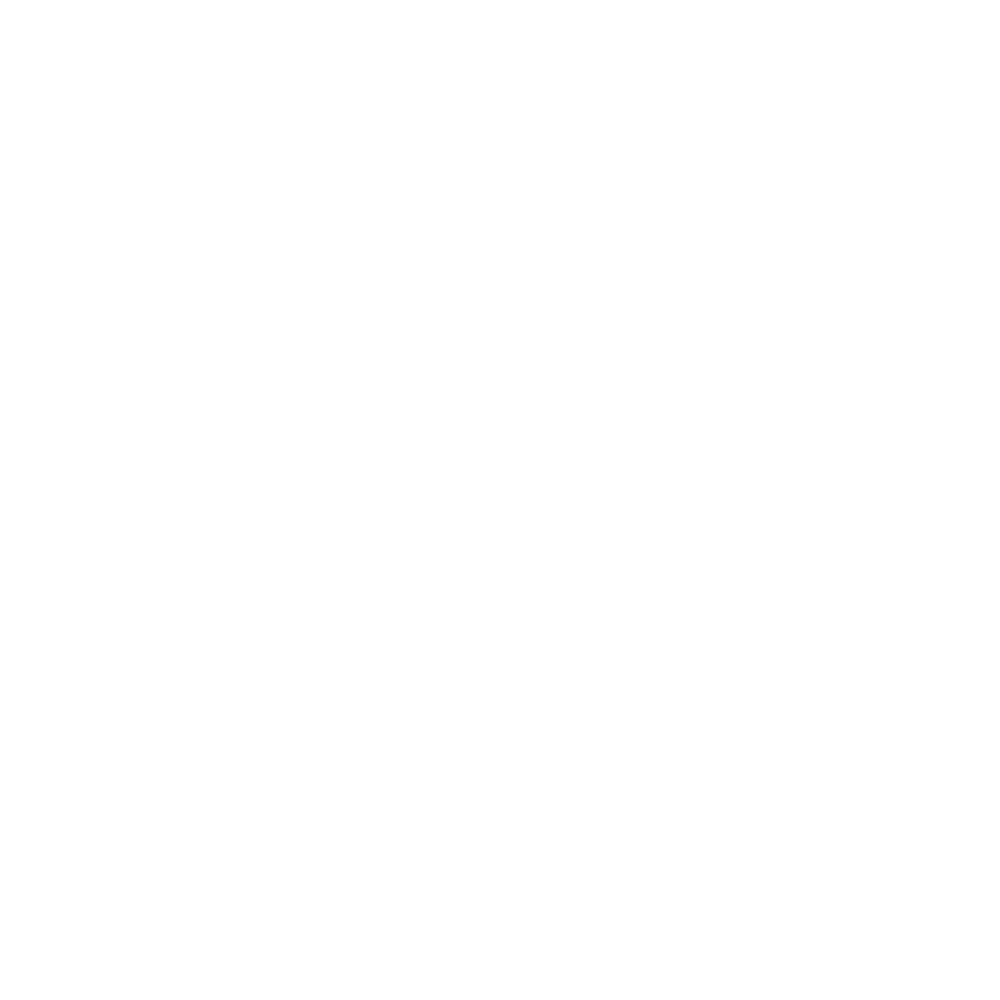 Miami City Ballet logo